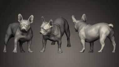 3D model DOG B (STL)